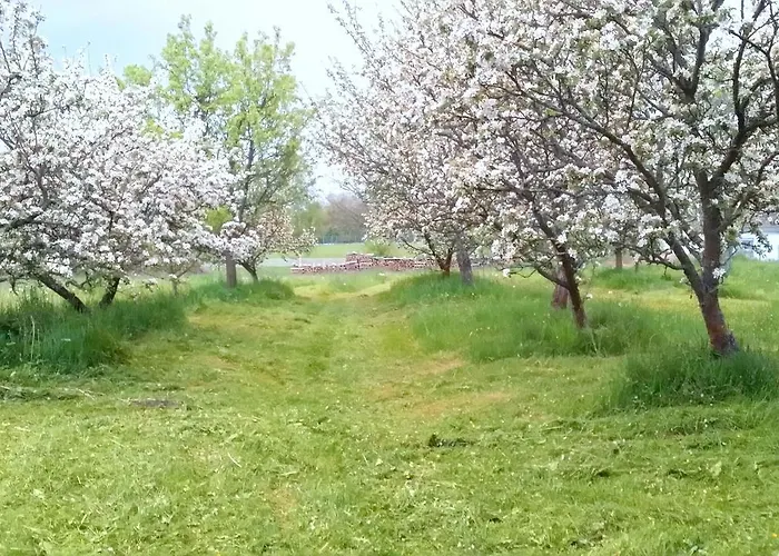 Safar Διαμέρισμα