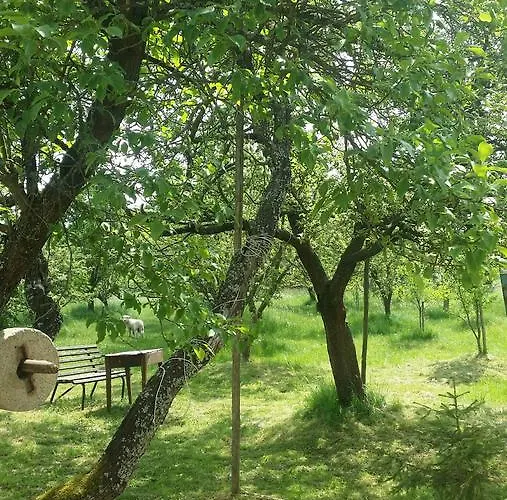 Διαμέρισμα Safar *